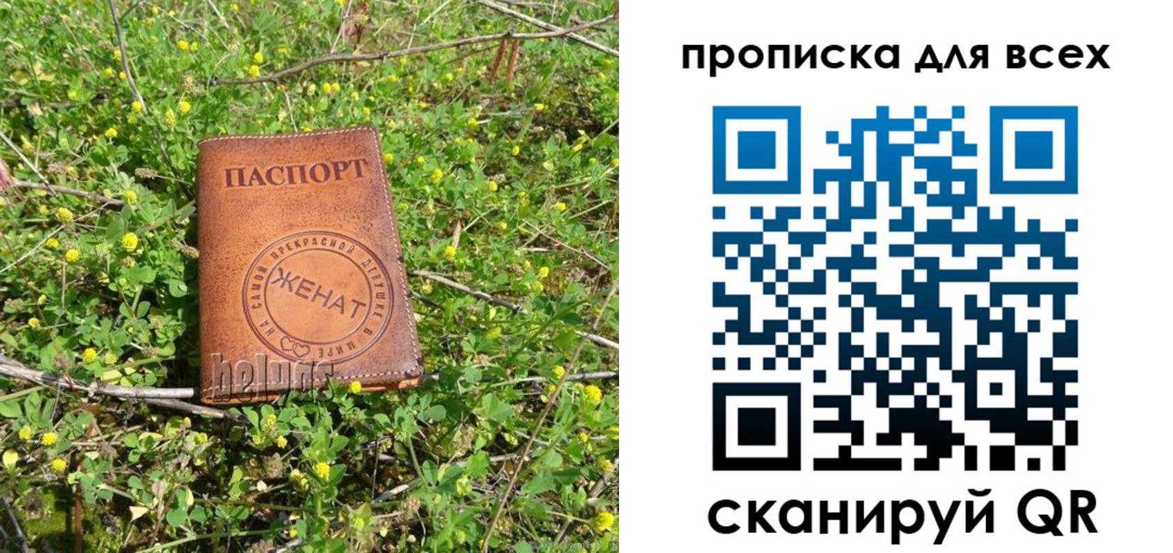 прописка поиск в Навашино
